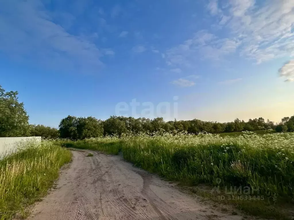 Участок в Архангельская область, Приморский муниципальный округ, д. ... - Фото 1