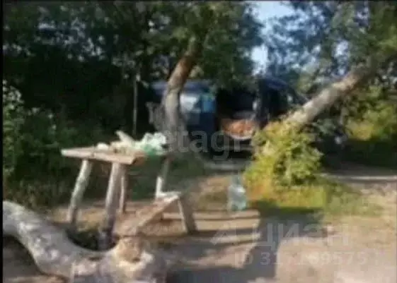 Участок в Саратовская область, с. Рыбушка  (790.0 сот.) - Фото 0