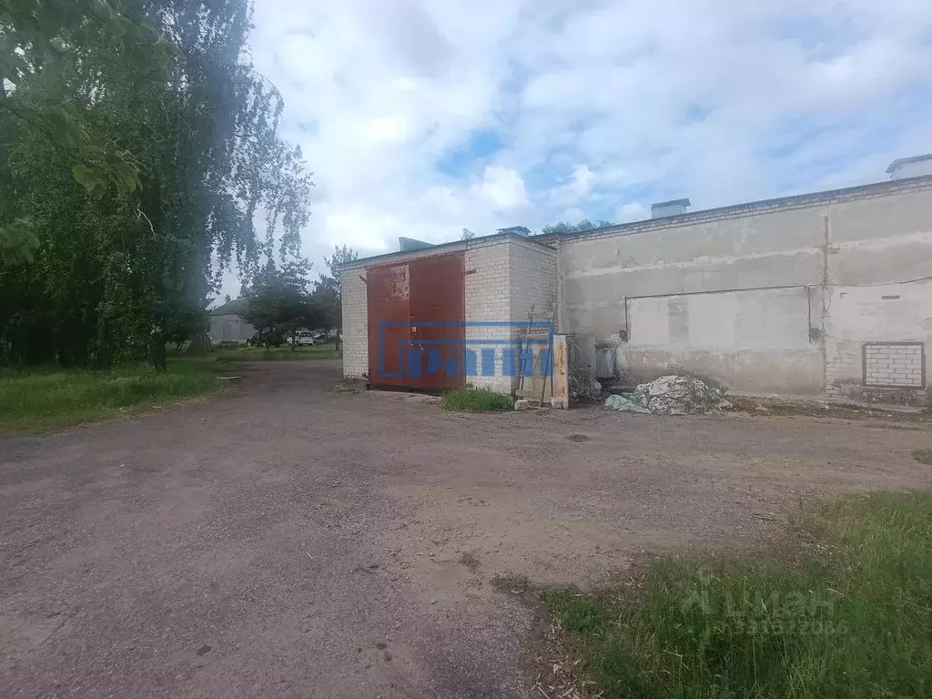 Склад в Курская область, Курский район, Камышинский сельсовет, д. ... - Фото 2