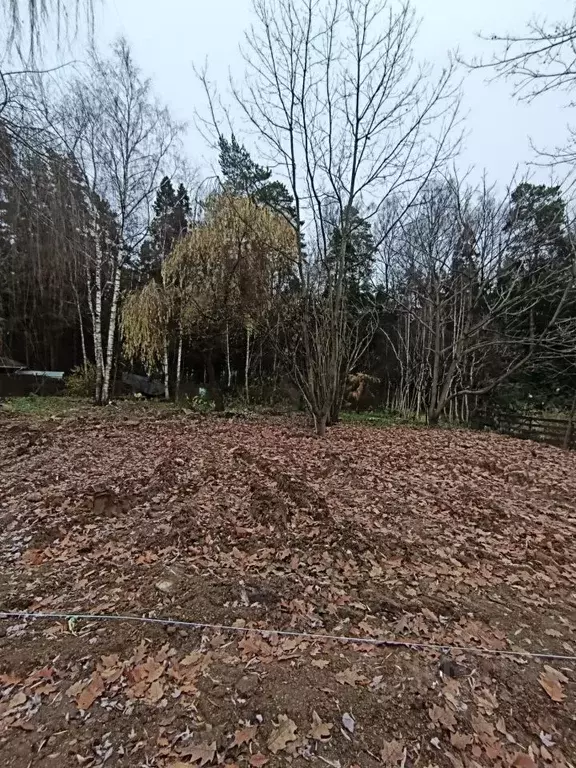 Участок в Московская область, Мытищи городской округ, д. Высоково ул. ... - Фото 2