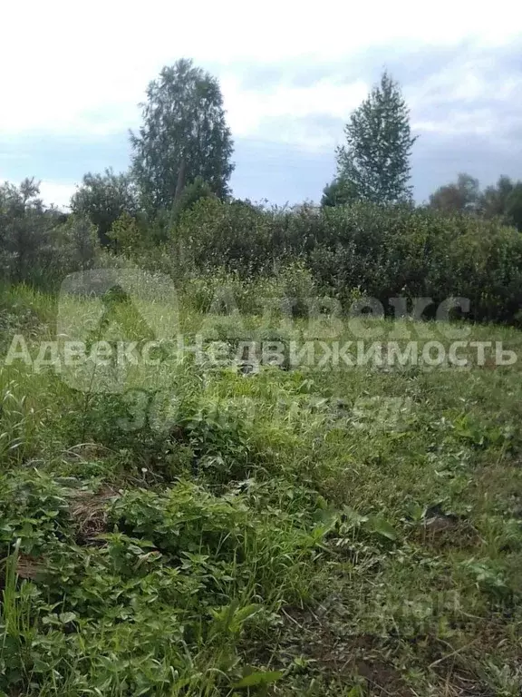 Участок в Тюменская область, Тюменский район, Нива СНТ ул. Сиреневая, ... - Фото 1