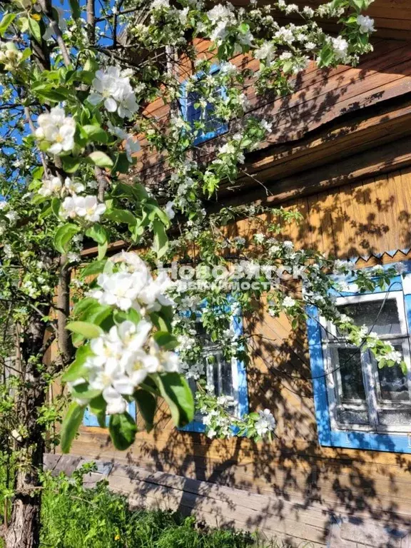 Дом в Кировская область, Киров Соломинцы сл., Садовая ул., 4 (45 м) - Фото 0