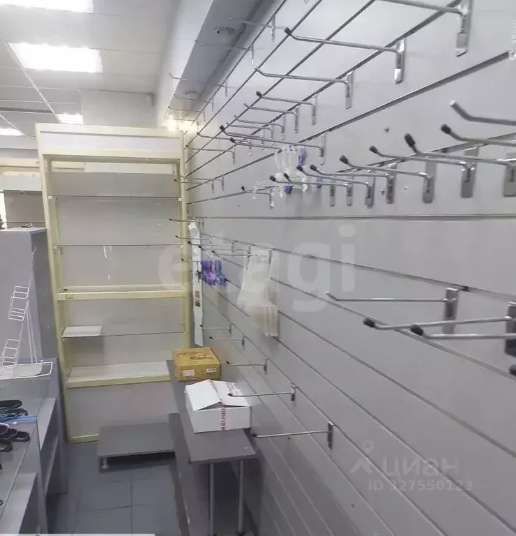 Торговая площадь в Свердловская область, Нижний Тагил просп. ... - Фото 2