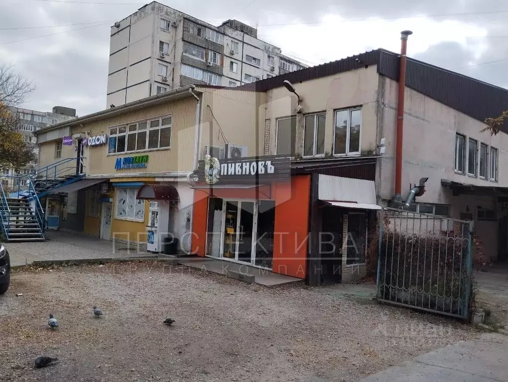 Помещение свободного назначения в Краснодарский край, Новороссийск ... - Фото 1