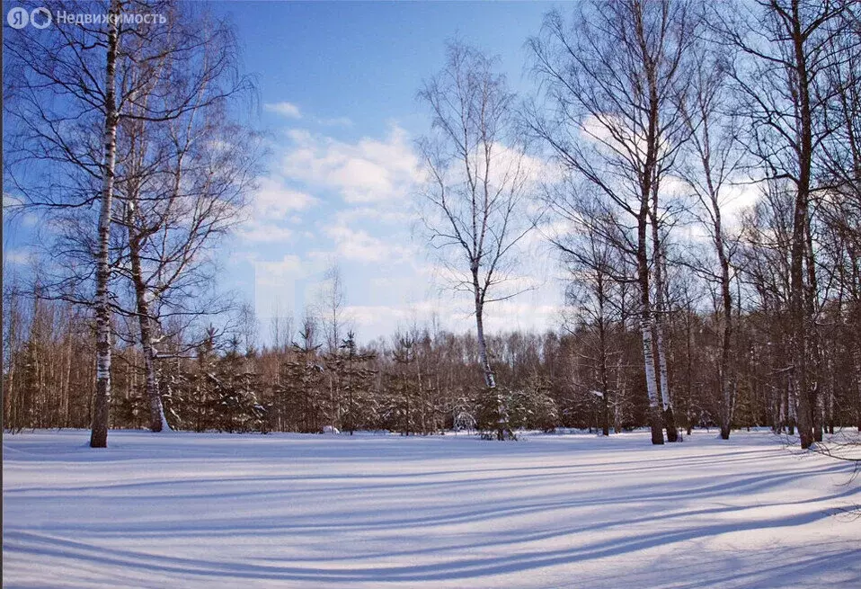Участок в Морозовский сельсовет, садовое товарищество Берёзка, Ягодная ... - Фото 2