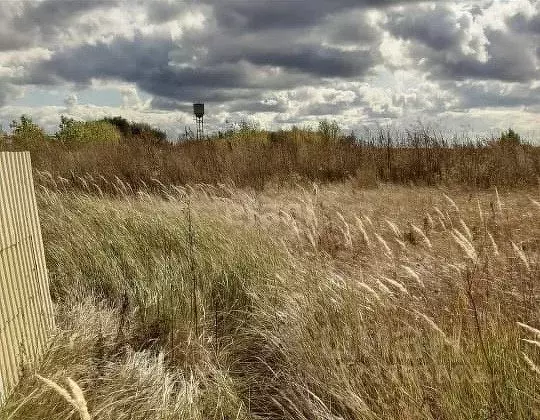 Участок в Тамбовская область, Тамбовский муниципальный округ, с. ... - Фото 1
