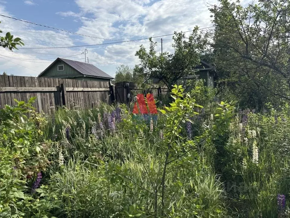 Участок в Ярославская область, Ярославль Резинотехника-3 СНТ, 202 (5.4 ... - Фото 2