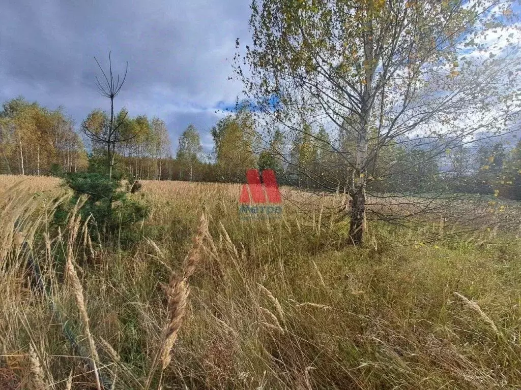 Участок в Ярославская область, Некрасовское рп  (15.0 сот.) - Фото 2