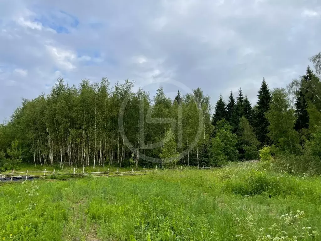 Участок в Московская область, Домодедово городской округ, с. Битягово  ... - Фото 1
