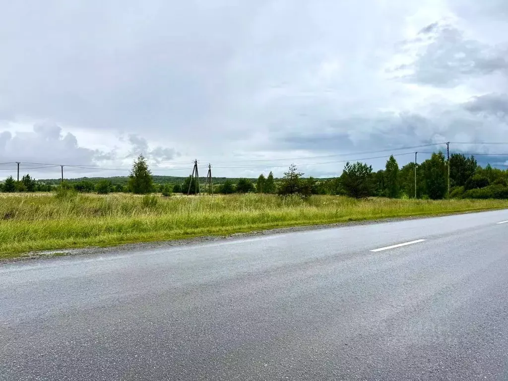 Участок в Татарстан, Пестречинский район, Богородское с/пос  (10.0 ... - Фото 2