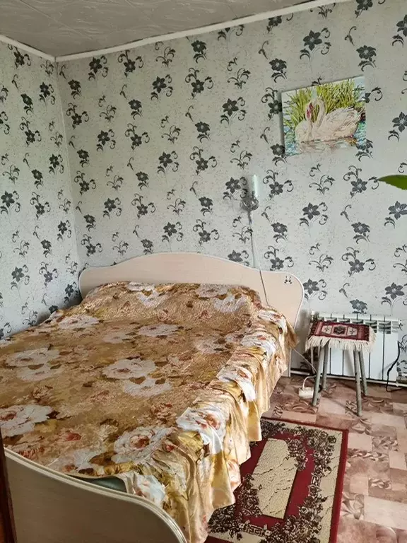 Дом в Свердловская область, Алапаевск ул. Кронштадская, 43 (50 м) - Фото 0