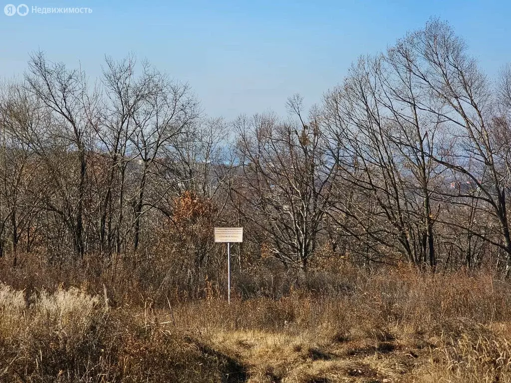 Участок в Артём, СНТ Родник-1, Центральная улица (10 м) - Фото 2