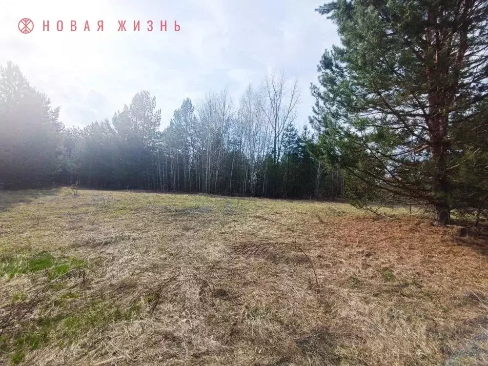 Участок в Самарская область, Волжский район, Рождествено с/пос, с. ... - Фото 2