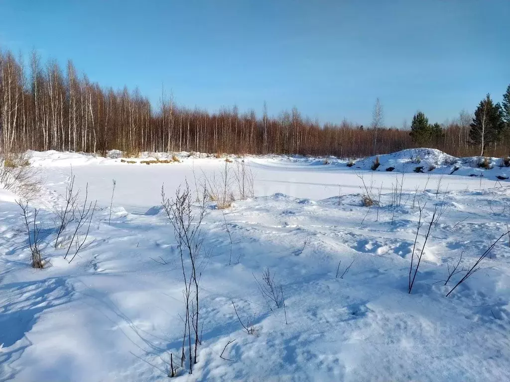 Поселок кедровое свердловская область. Фото кедровое Свердловская область. Кедровое Свердловская область карьеры рыбалка. Рисунок п.кедровое Свердловская область.