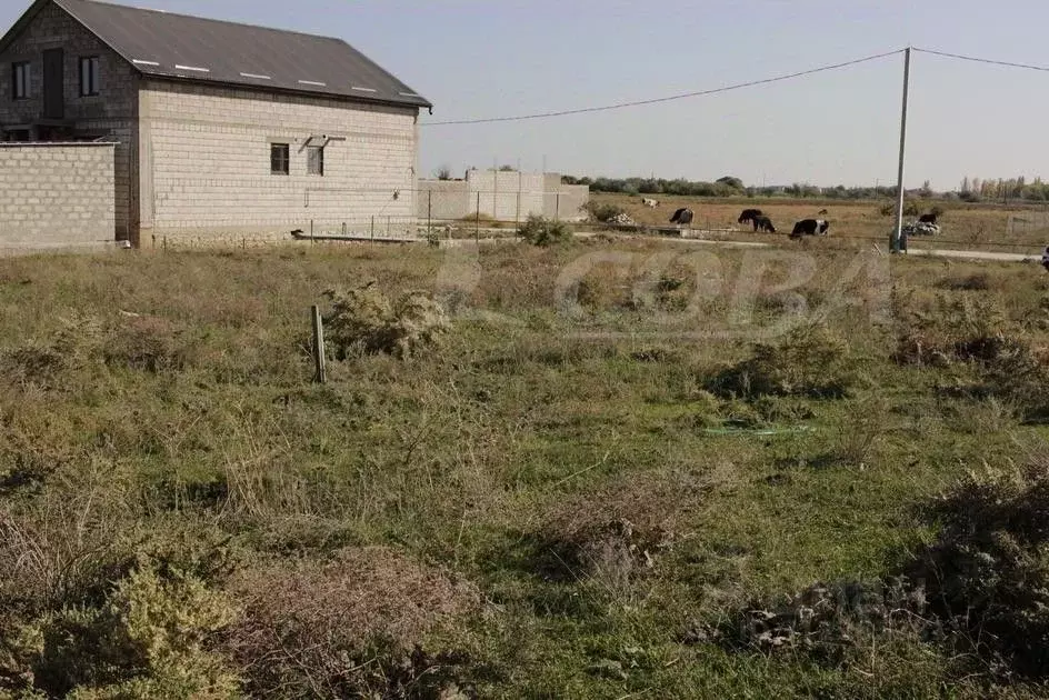 Участок в Дагестан, Махачкала городской округ, с. Новый Хушет  (4.5 ... - Фото 1