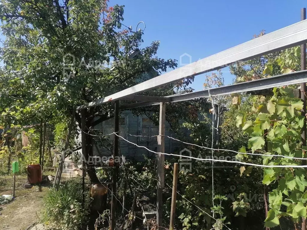 Дом в Волгоградская область, Волгоград Нефтяник СНТ,  (25 м) - Фото 1