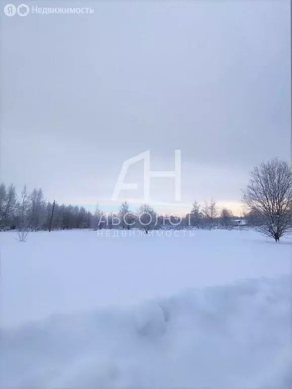 Участок в Краснозаводск, Ярославская улица (15 м) - Фото 1