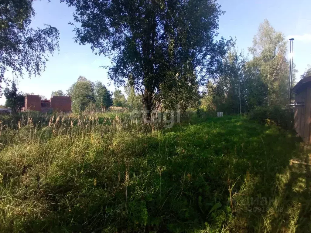 Участок в Псковская область, Псковский район, Логозовская волость, д. ... - Фото 1