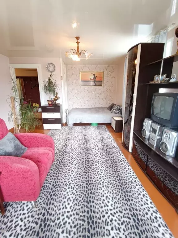 1-к кв. Кировская область, Кирово-Чепецк просп. Мира, 53А (29.5 м) - Фото 1