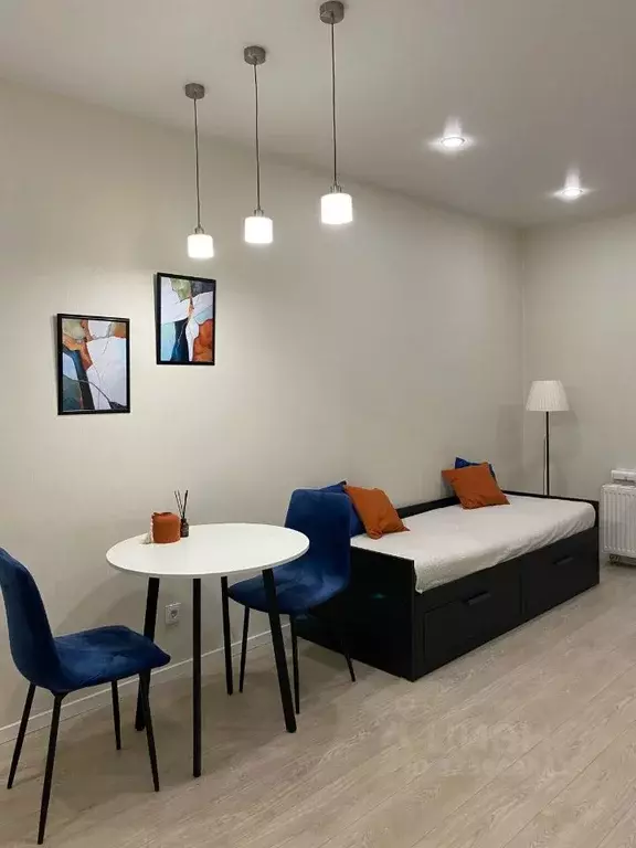 Студия Санкт-Петербург 1-й Предпортовый проезд, 15 (23.6 м) - Фото 1