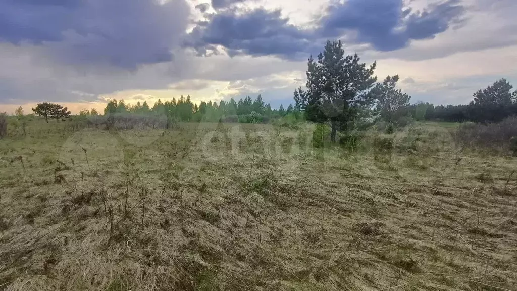 Участок 9,9 сот. (СНТ, ДНП) - Фото 0
