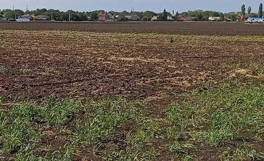 Участок в Ростовская область, Кагальницкий район, Мокробатайское ... - Фото 1