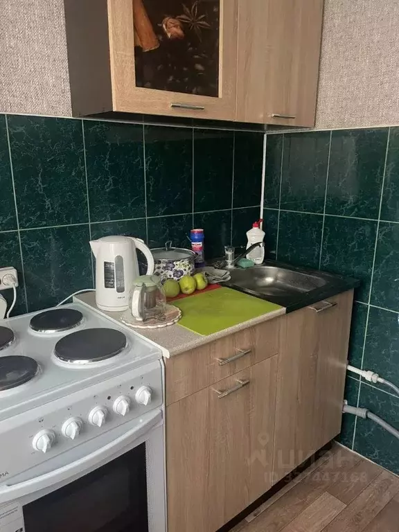 1-к кв. Новосибирская область, Новосибирский район, с. Криводановка ... - Фото 1