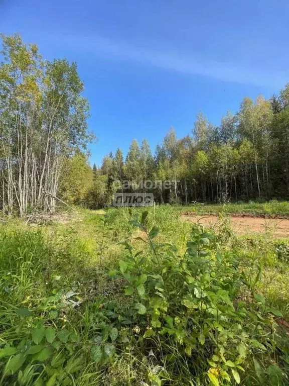 Участок в Пермский край, Добрянский городской округ, д. Залесная ул. ... - Фото 1