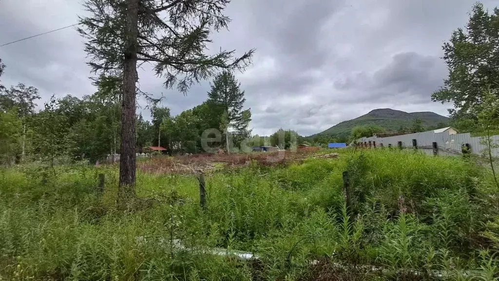 Участок в Камчатский край, Быстринский муниципальный округ, с. Эссо ... - Фото 1
