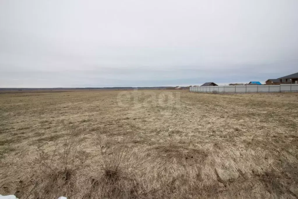 Участок в Калужская область, Дзержинский район, с. Дворцы ул. ... - Фото 0