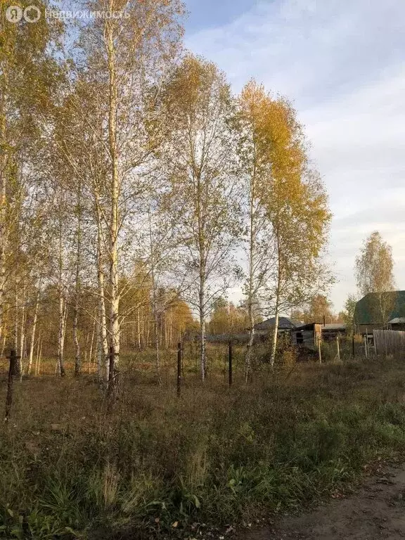 Участок в Курганская область, Кетовский муниципальный округ, деревня ... - Фото 0