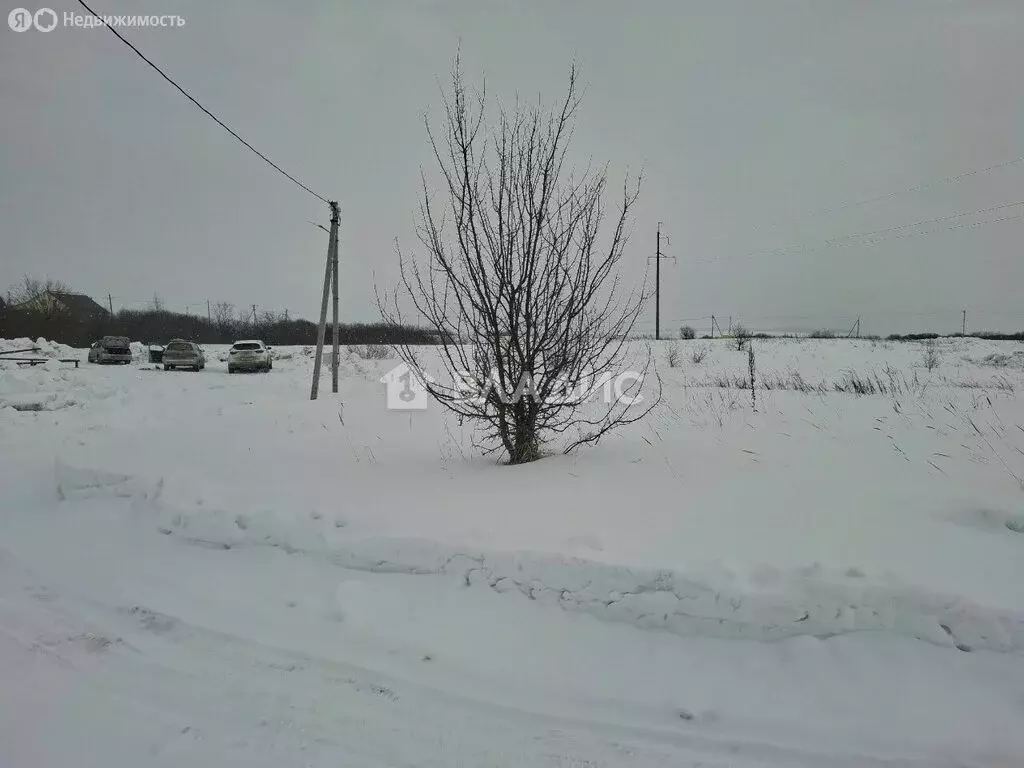 Участок в Засечный сельсовет, село Лебедёвка, Родниковая улица (19 м) - Фото 1