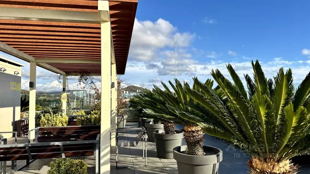 2-к кв. Краснодарский край, Сочи Светлана мкр, ул. Депутатская, 10Б/1 ... - Фото 2