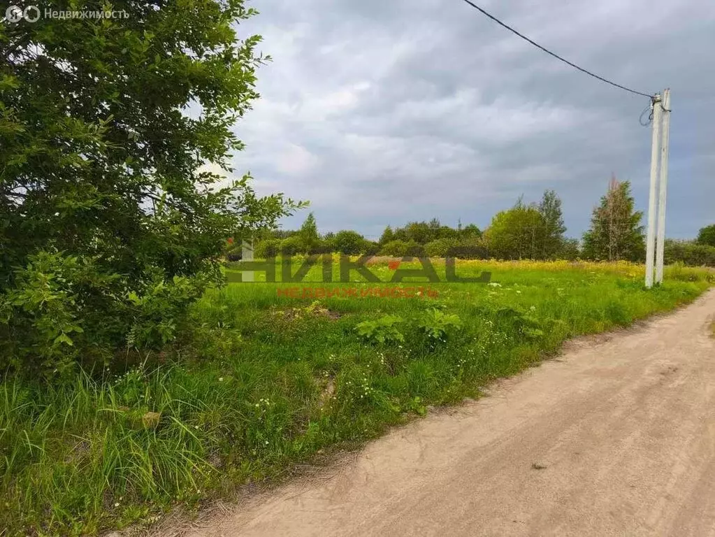 Участок в Ярославский муниципальный округ, деревня Зяблицы (10 м) - Фото 1
