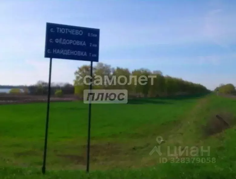 Участок в Липецкая область, Лебедянский муниципальный округ, с. ... - Фото 1