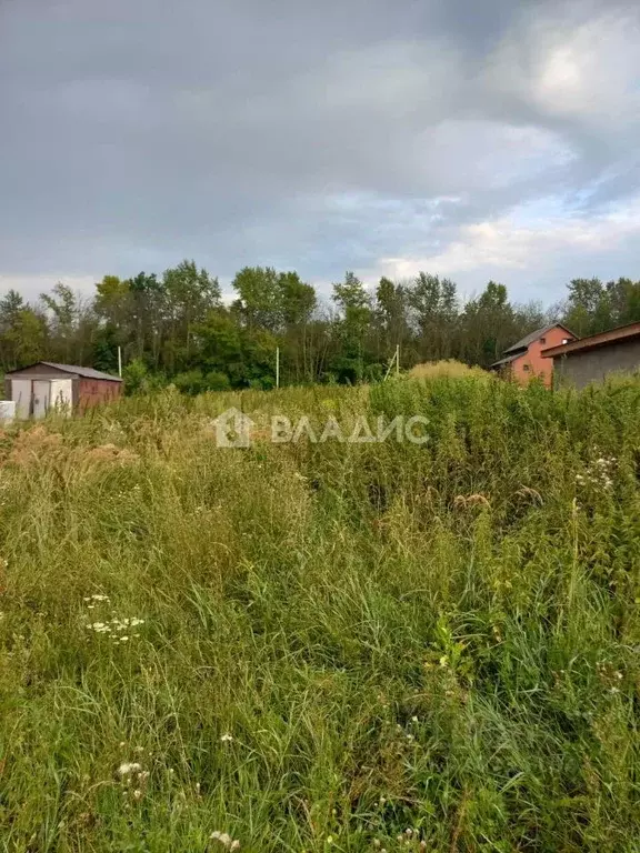 Участок в Пензенская область, Пензенский район, Мичуринский сельсовет, ... - Фото 2