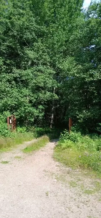 Участок в Ленинградская область, Выборгский район, Советское городское ... - Фото 1