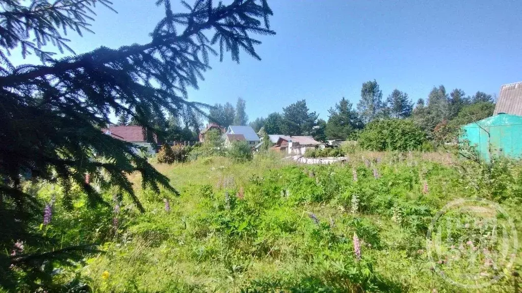 Участок в Ленинградская область, Всеволожский район, Куйвозовское ... - Фото 0