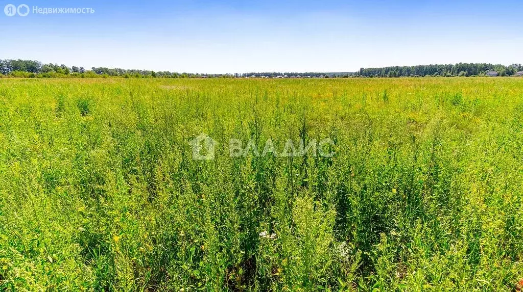 Участок в Старая Купавна, Советская улица (6.15 м) - Фото 0