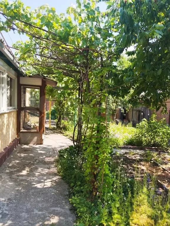 Дом 43 м на участке 4 сот. - Фото 1