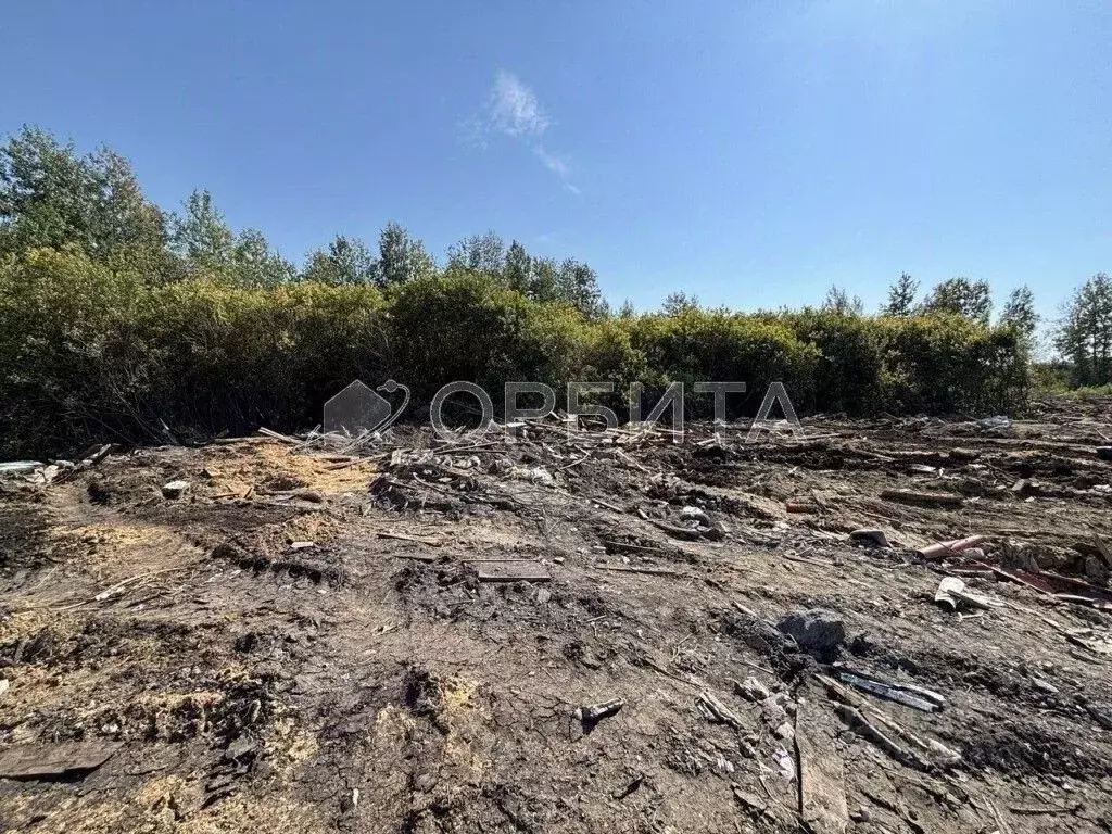 Участок в Тюменская область, Тюмень  (8.0 сот.) - Фото 1