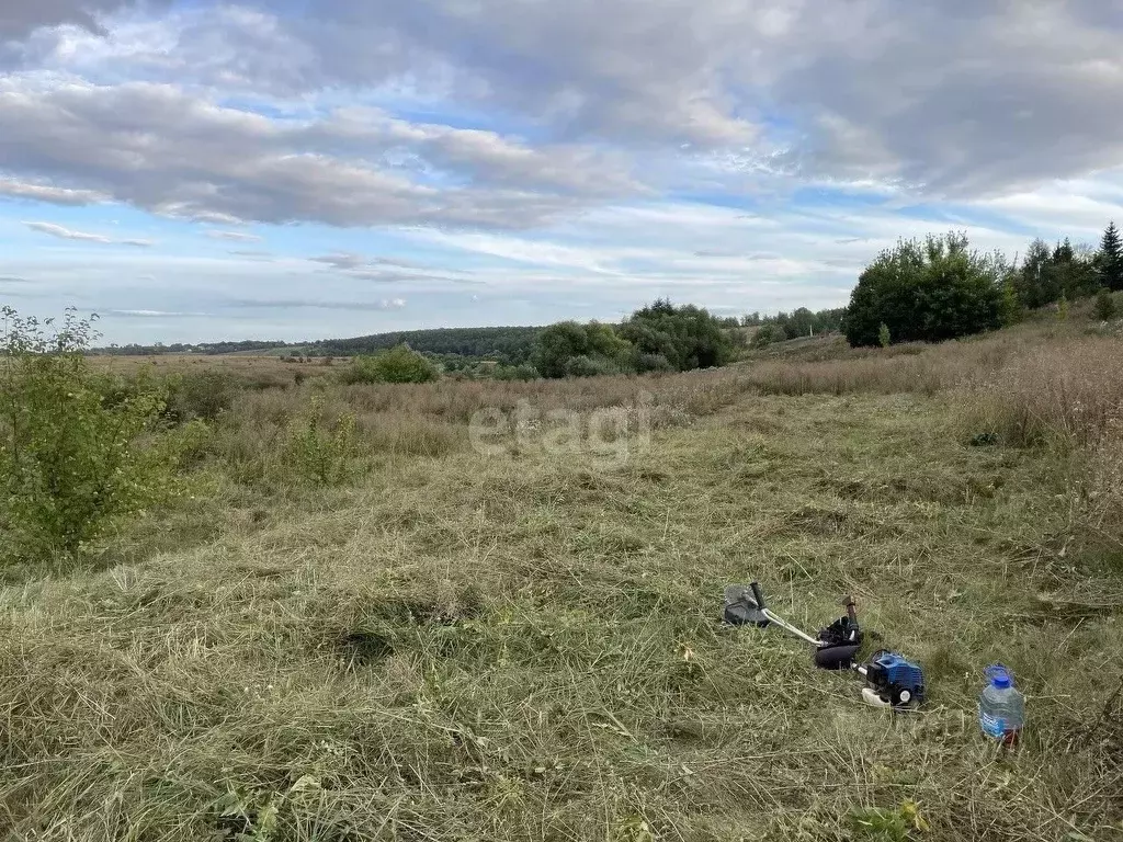 Участок в Тульская область, Куркинский район, Михайловское с/пос, д. ... - Фото 1