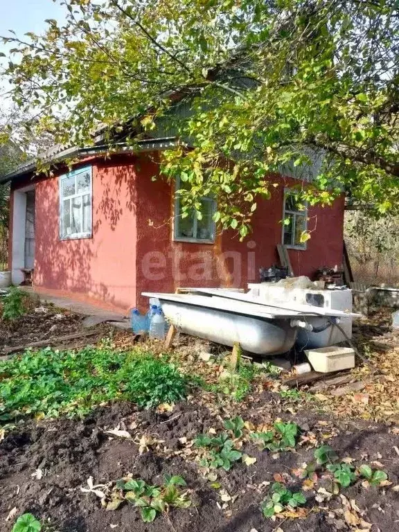 Дом в Белгородская область, Корочанский район, Мелиховское с/пос, ... - Фото 1