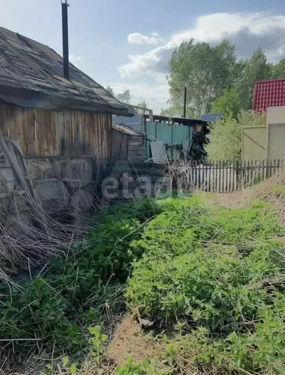 Участок в Новосибирская область, Новосибирск Строймашевец СНТ, 245 ... - Фото 1