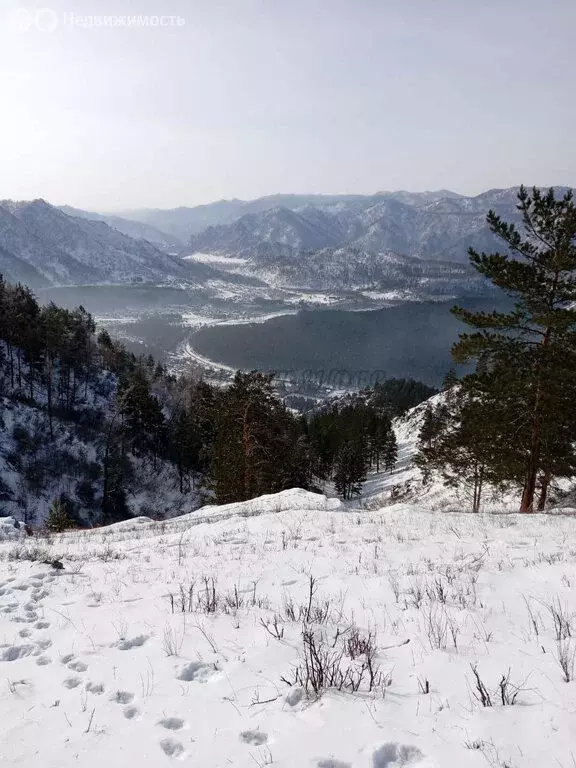 Участок в Чемальский район, Чемальское сельское поселение (2.3 м) - Фото 1