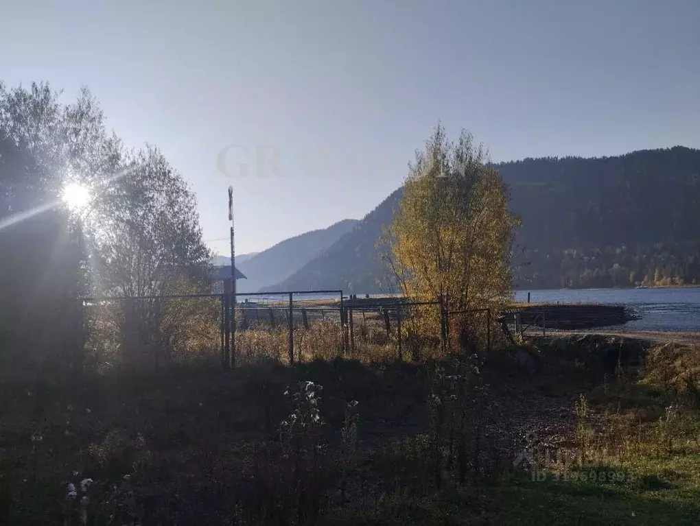 Участок в Алтай, Турочакский район, с. Артыбаш Телецкая ул. (2.44 ... - Фото 0