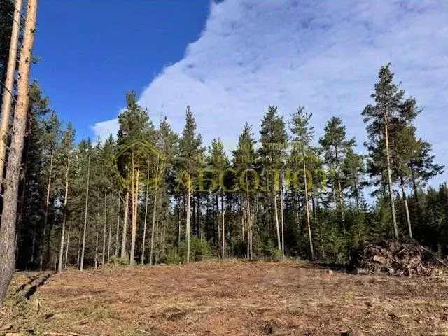 Участок в Свердловская область, Ревда ул. Облепиховая (10.0 сот.) - Фото 2