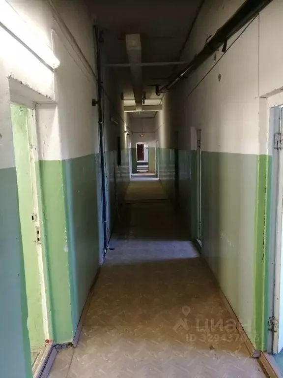 Помещение свободного назначения в Ленинградская область, Приозерский ... - Фото 2