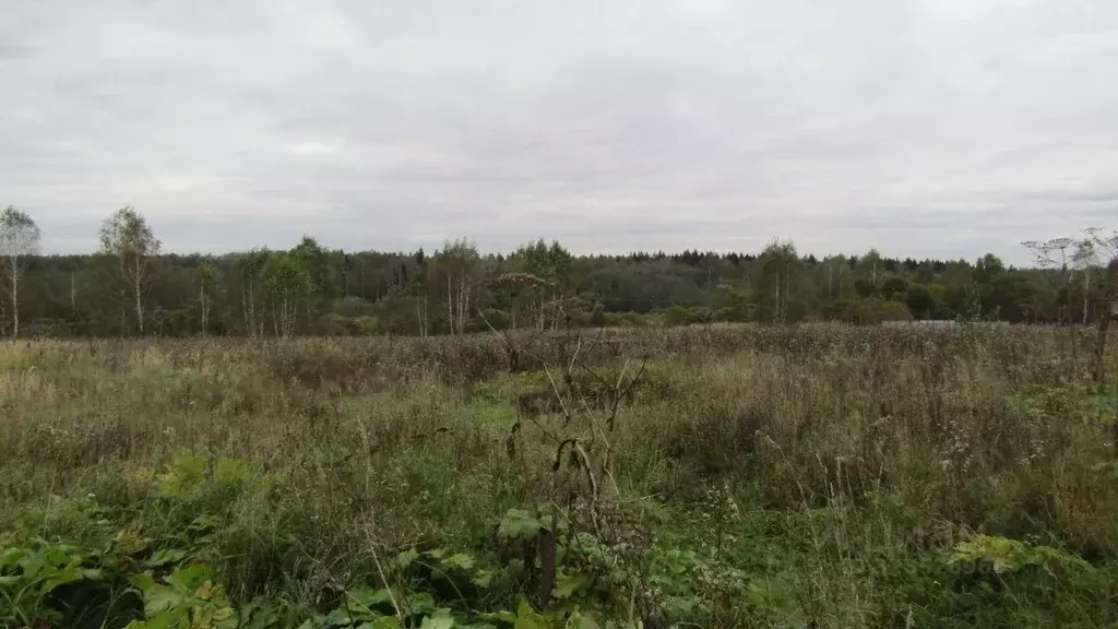Участок в Московская область, Рузский муниципальный округ, д. Гомнино  ... - Фото 2