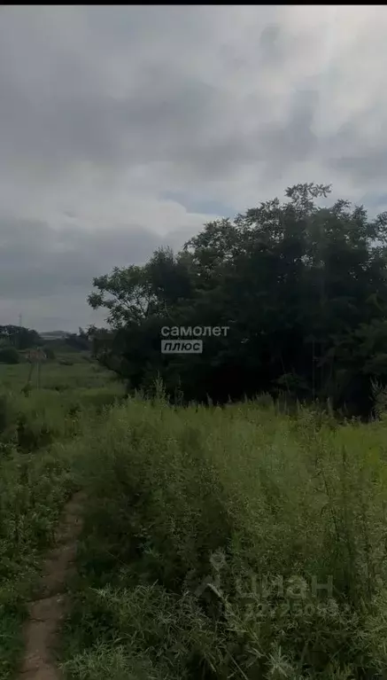 Участок в Приморский край, Артем ул. 1-я Рабочая (10.0 сот.) - Фото 1